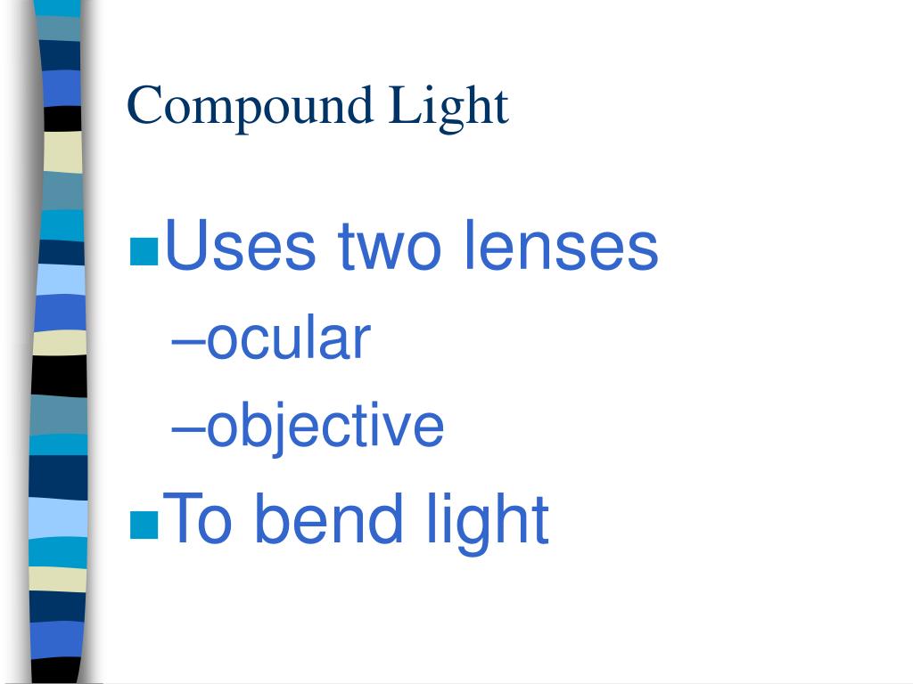 PPT MICROSCOPES PowerPoint Presentation, free download ID4944197