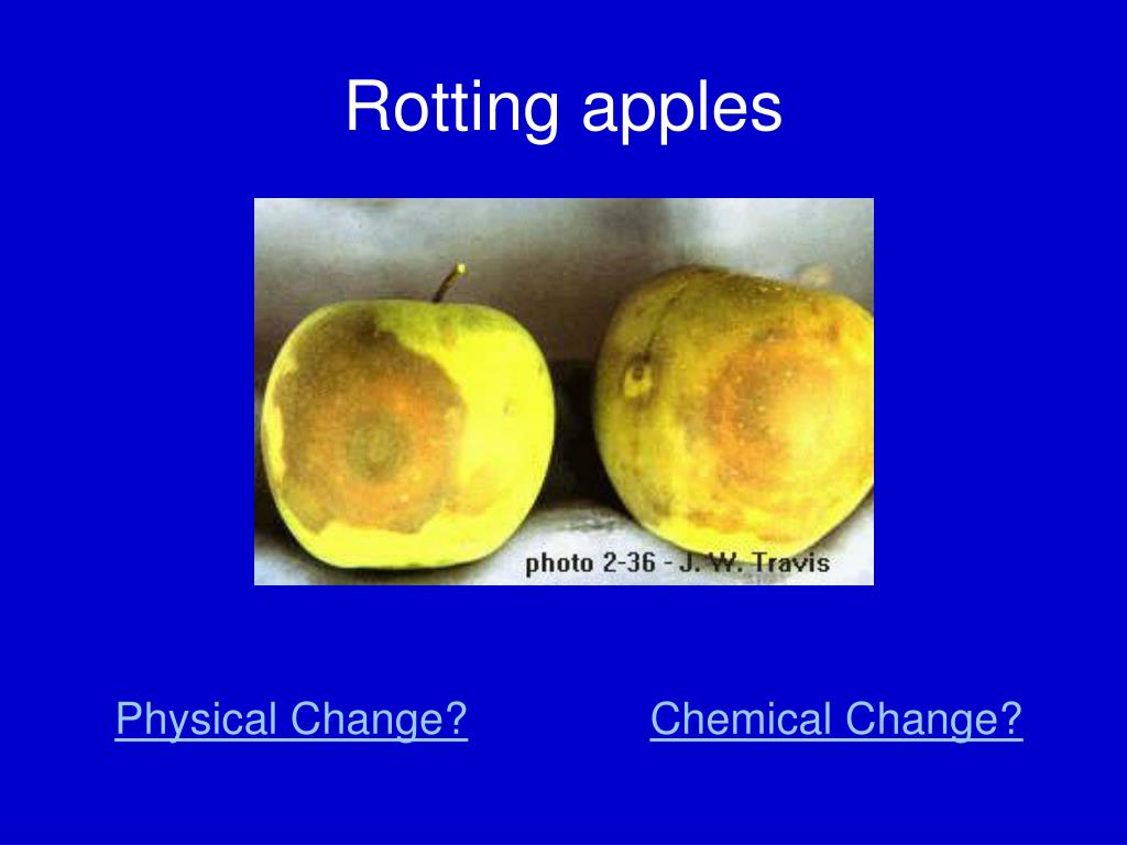 PPT Physical or Chemical Change? PowerPoint Presentation, free