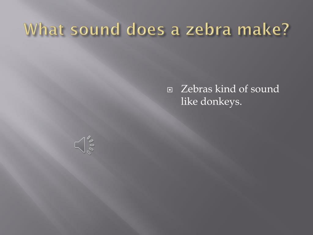 PPT All about Zebras PowerPoint Presentation, free download ID4949150