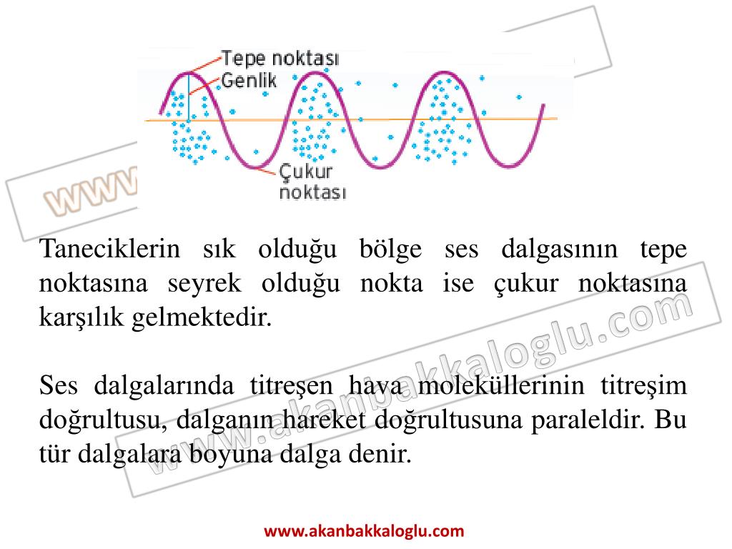 PPT Dalgalar PowerPoint Presentation, free download ID4971529