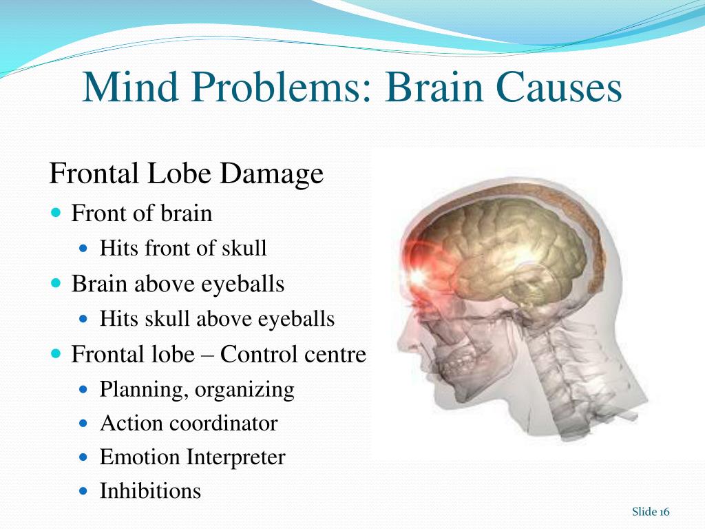 PPT The Impact of Brain Injury Mechanisms of damage, deficit