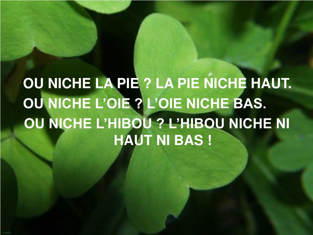 PPT LES PHRASES IMPRONONCABLES PowerPoint Presentation, free download