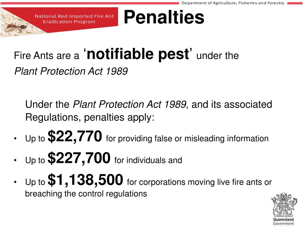 PPT Fire Ants PowerPoint Presentation, free download ID4985465