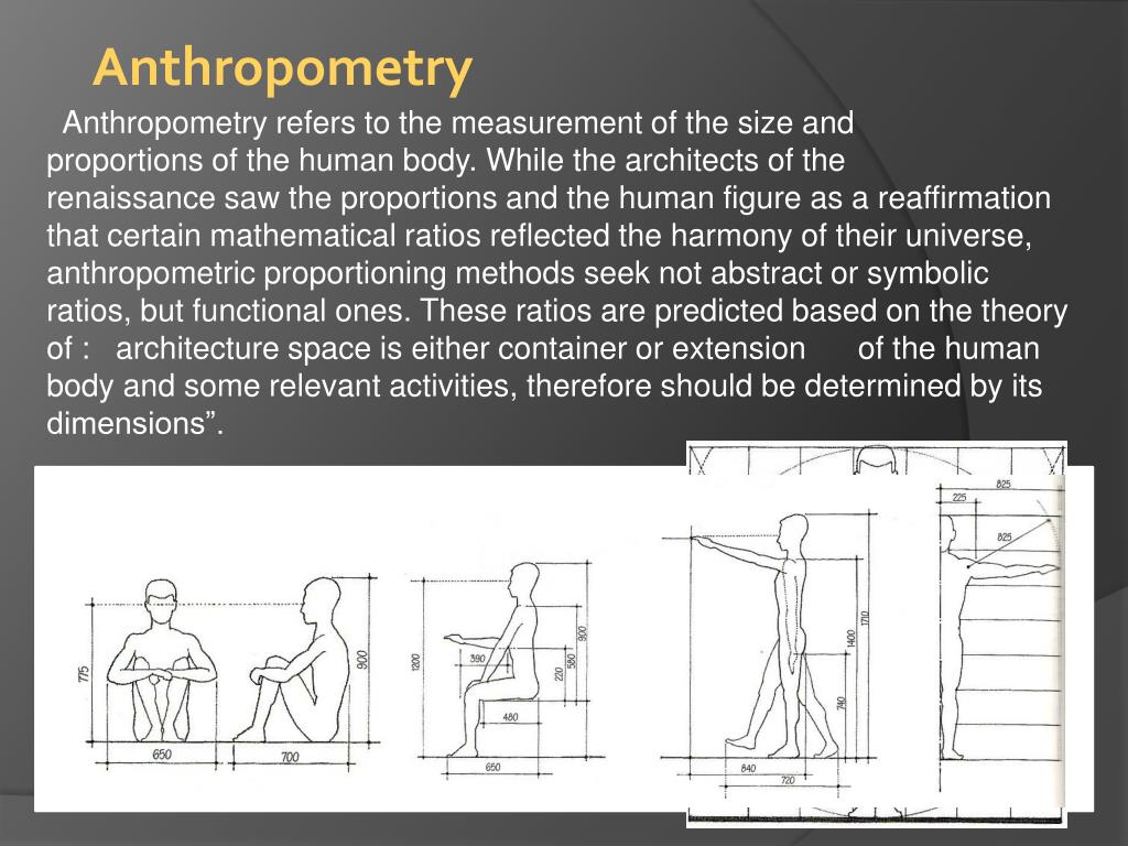 PPT Anthropometry PowerPoint Presentation, free download ID4985696