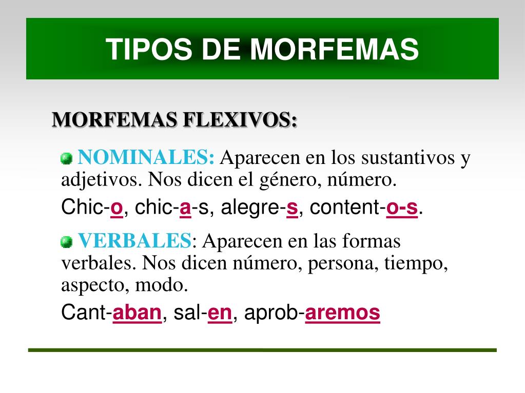 PPT LOS MONEMAS PowerPoint Presentation, free download