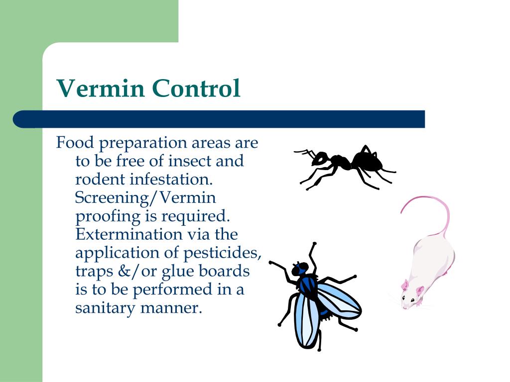 PPT What is Foodborne Illness ? PowerPoint Presentation, free