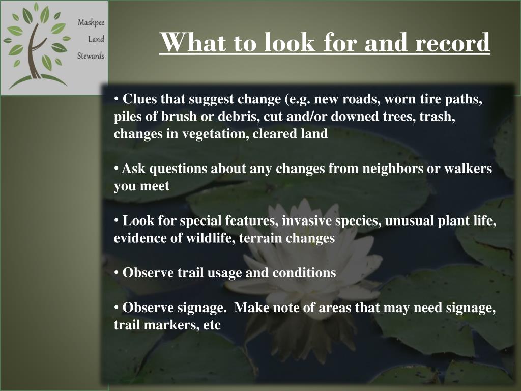 PPT MASHPEE LAND STEWARDSHIP PROGRAM PowerPoint Presentation, free