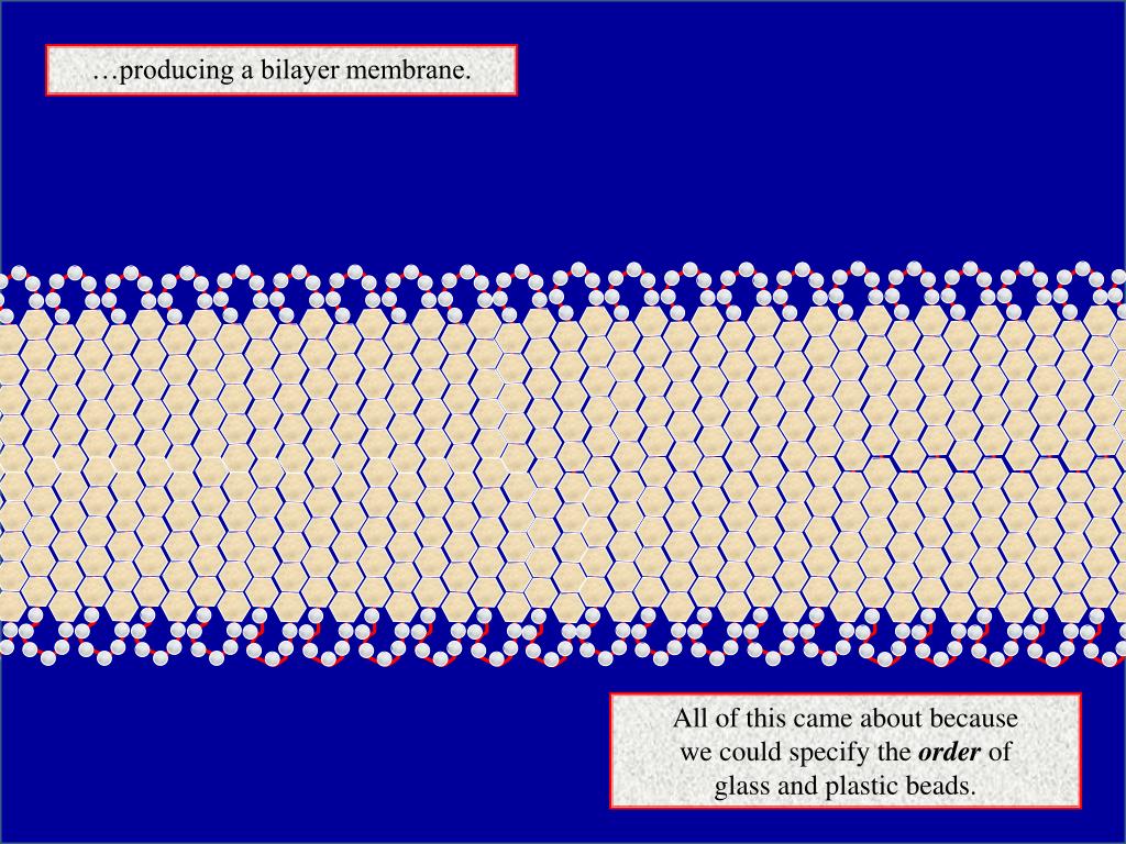 PPT Self Assembly PowerPoint Presentation, free download ID4996406
