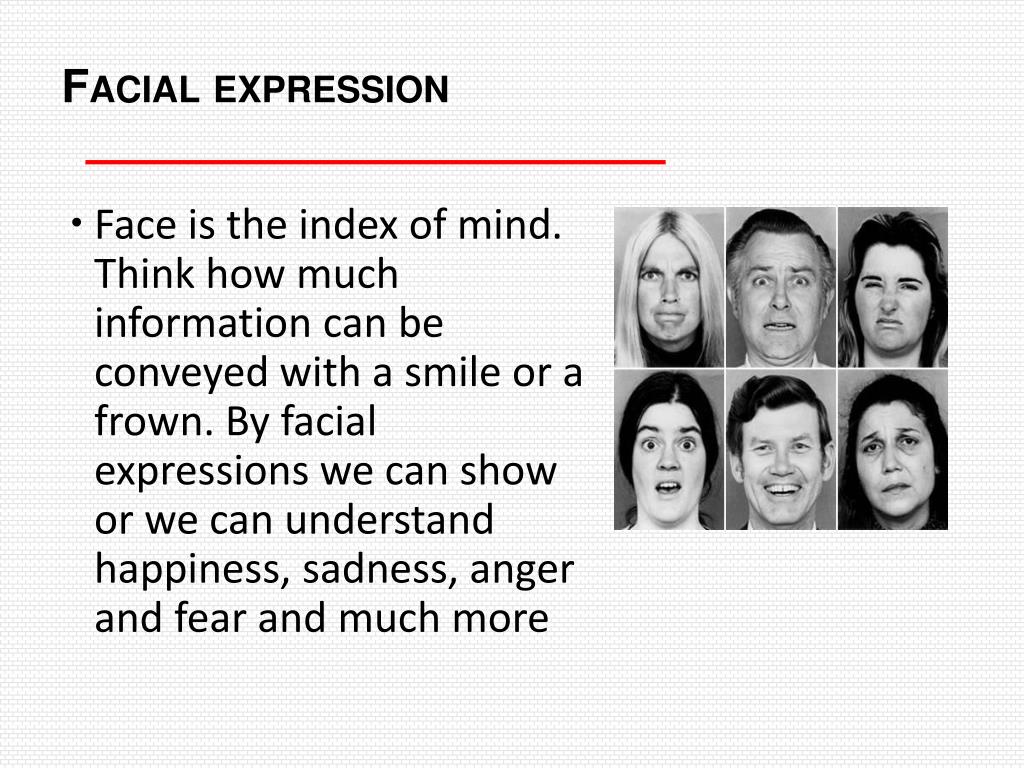 PPT TYPES OF COMMUNICATION PowerPoint Presentation, free download