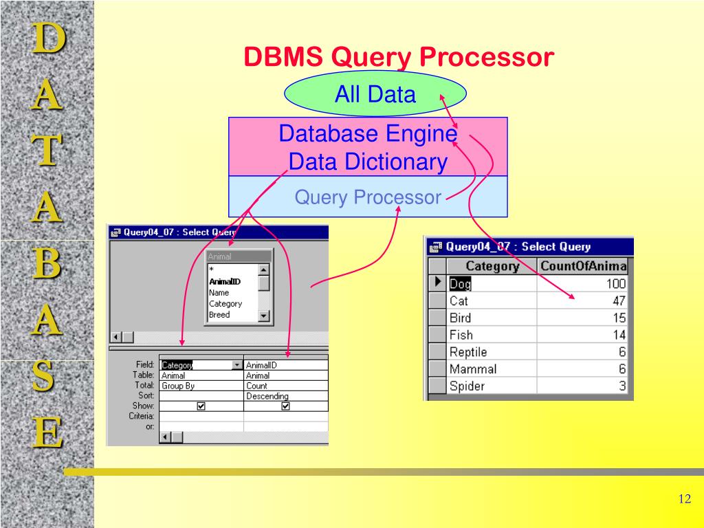 PPT Database Management Systems PowerPoint Presentation, free