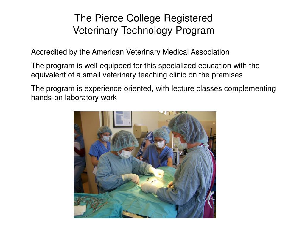 PPT Pierce College Veterinary Technology And PREVETERINARY Programs