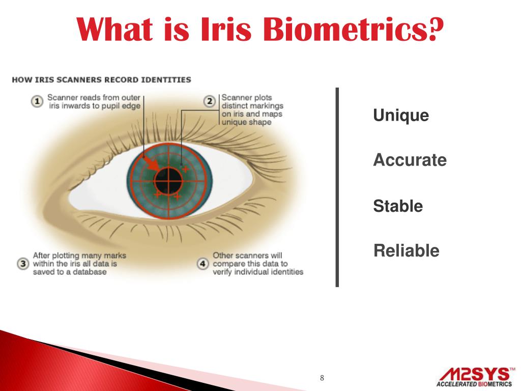 PPT Iris Biometrics for Accurate Patient Identification PowerPoint Presentation ID5006661