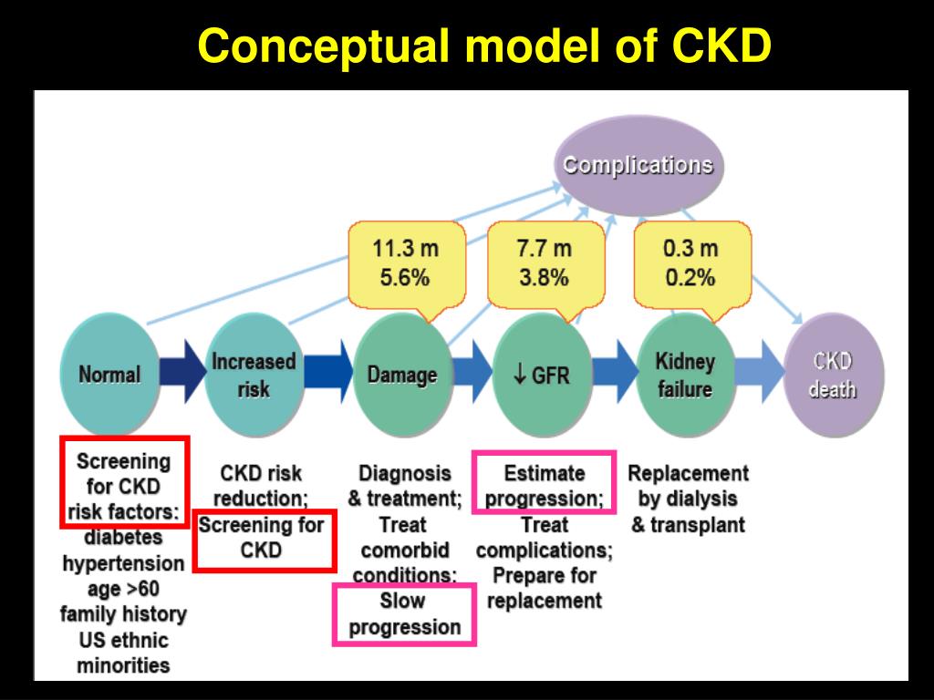 Concept Map Describe Ckd PPT The worldwide epidemiology of CKD and KDIGO Norbert Lameire Em