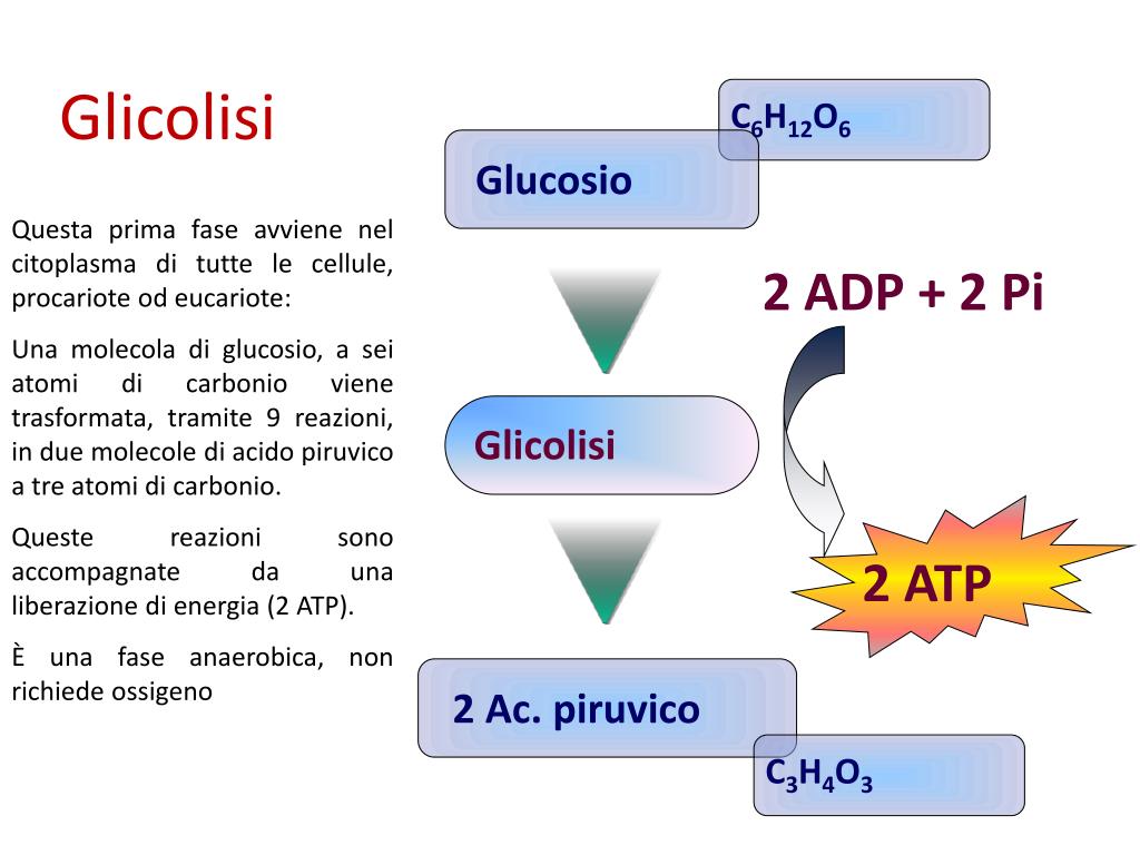 PPT L’ENERGIA PowerPoint Presentation, free download ID5015978