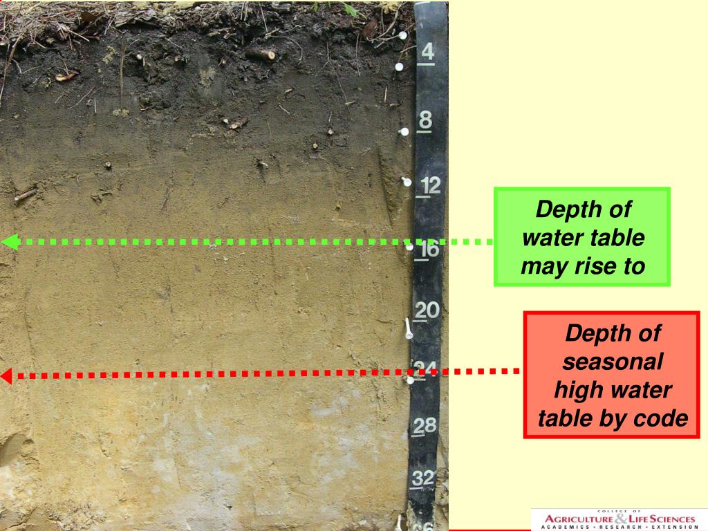 PPT Redoximorphic Features, Wetness Indicators, and Disturbed Soils