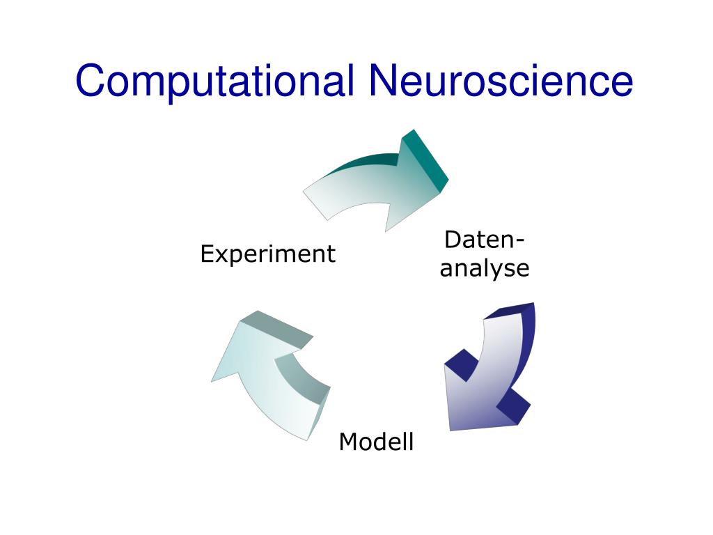 PPT Neuroinformatik PowerPoint Presentation, free