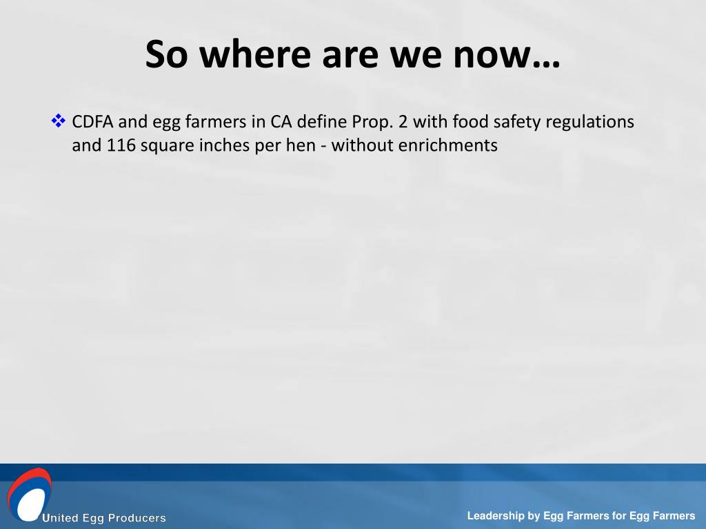 PPT Leadership by Egg Farmers for Egg Farmers PowerPoint Presentation ID5024065