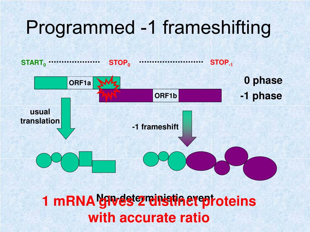 PPT Algorithmics of 1 frameshift RNA sequences PowerPoint