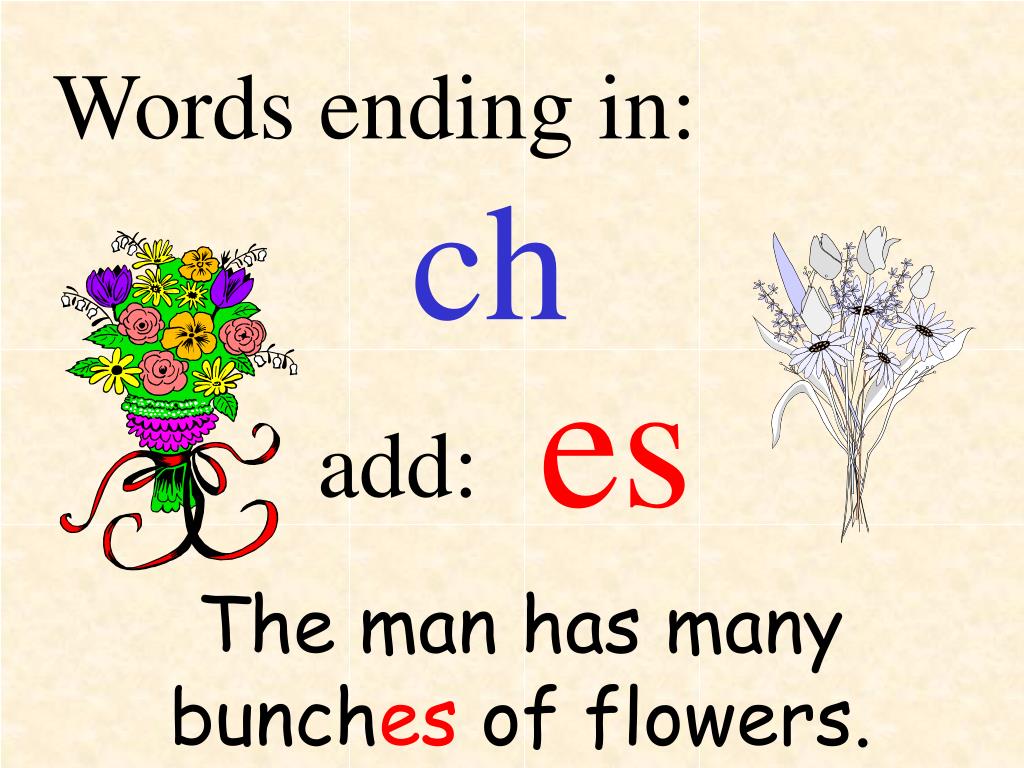 PPT Singular and Plural PowerPoint Presentation, free download ID