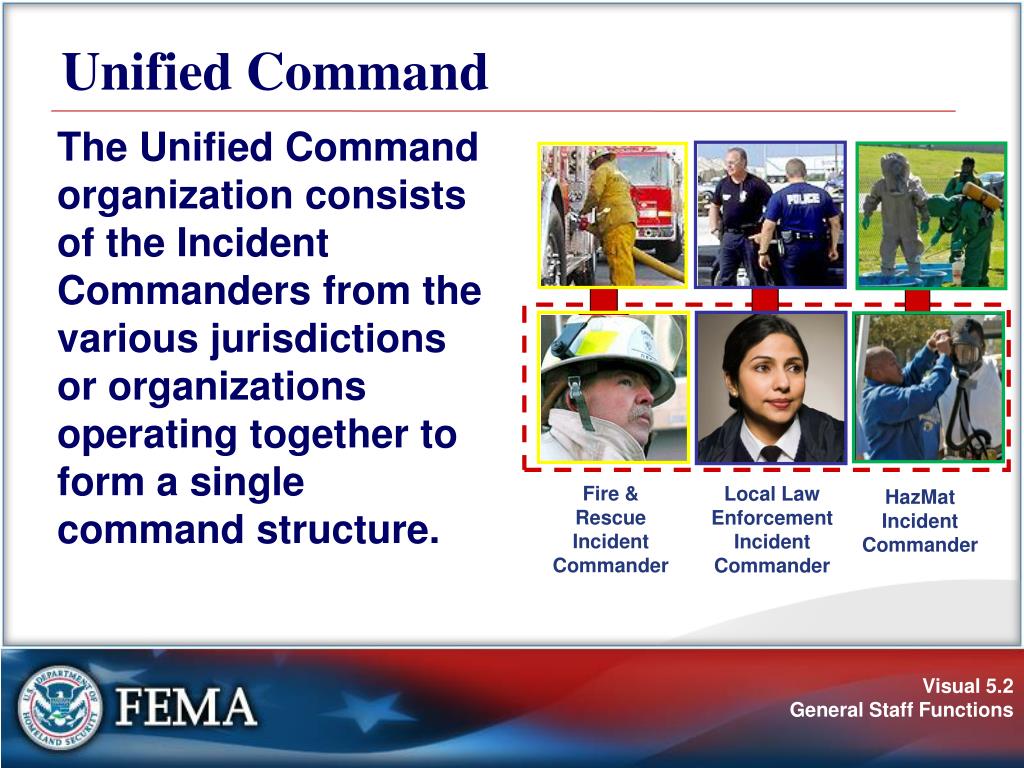 PPT - Unit 5: PowerPoint Presentation, free download - ID:5032296