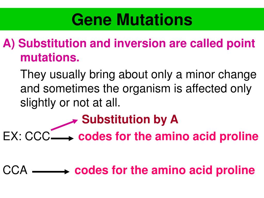 PPT MUTATIONS PowerPoint Presentation, free download ID5033913