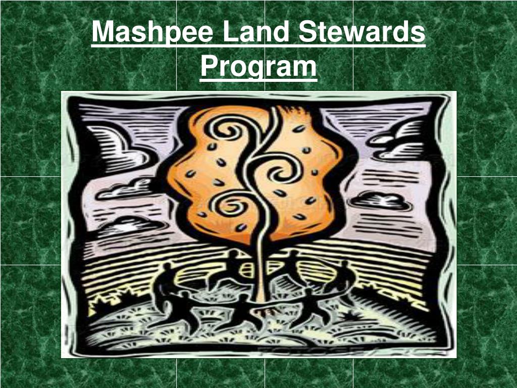 PPT Mashpee Land Stewards Program PowerPoint Presentation, free