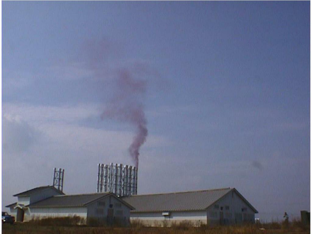 PPT Purple 3 PowerPoint Presentation, free download ID5053441