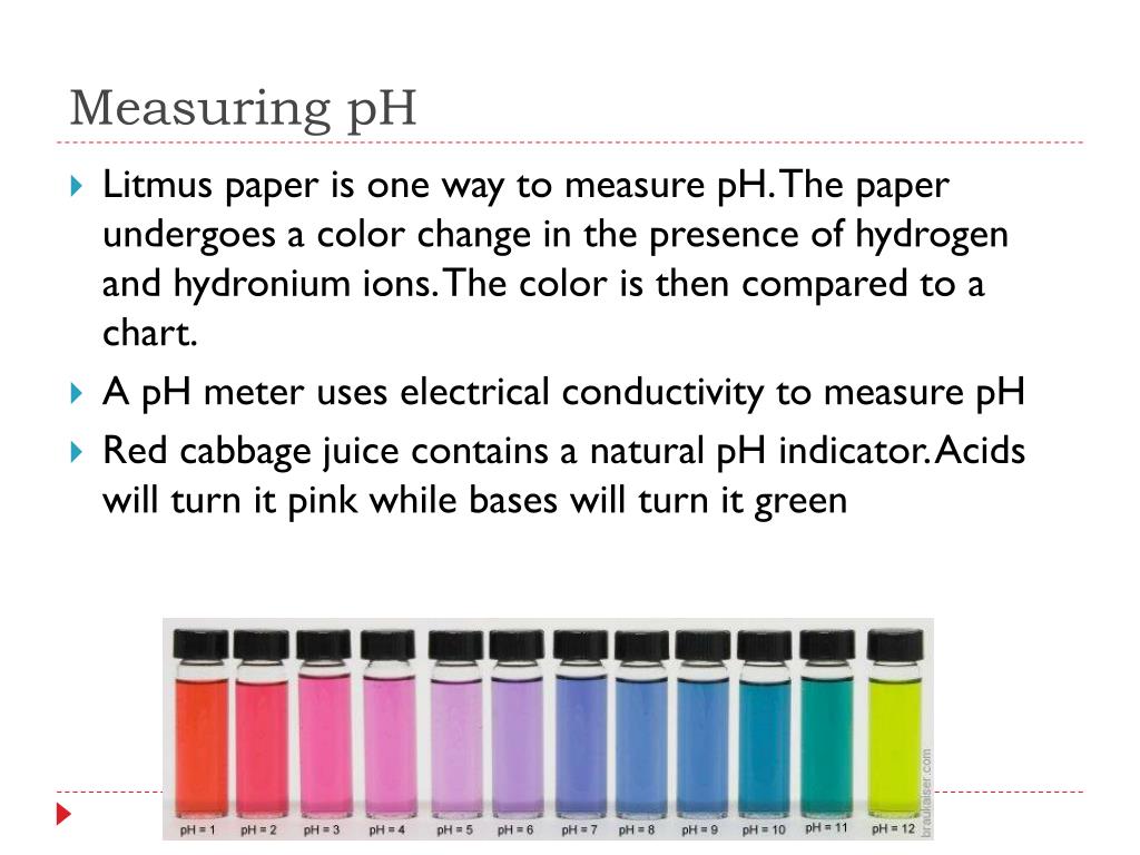 PPT Strength of Acids and Bases PowerPoint Presentation ID5054864