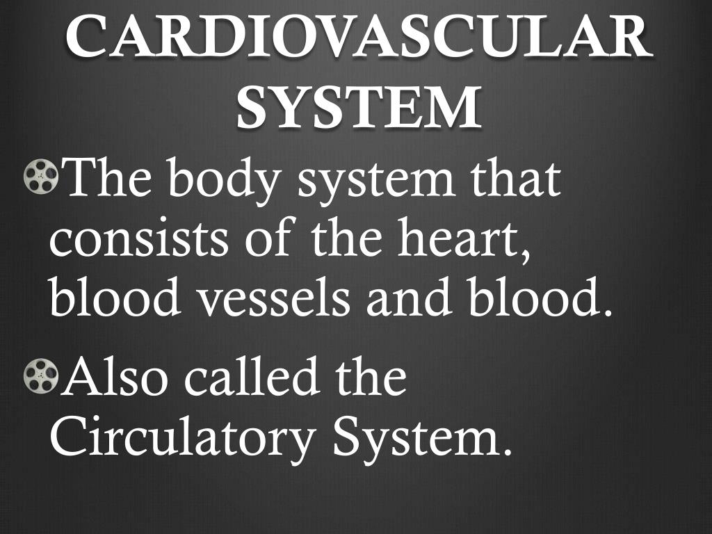 Chapter 37 Circulatory And Respiratory Systems Vocabulary.