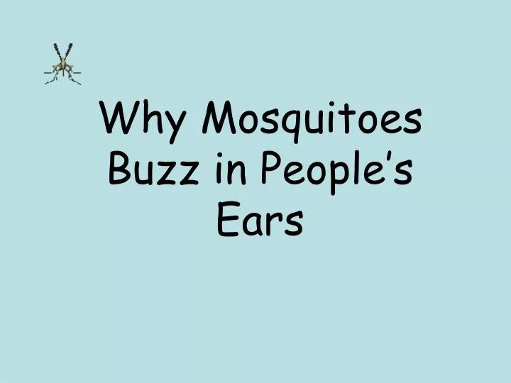 PPT Why Mosquitoes Buzz in People’s Ears PowerPoint Presentation