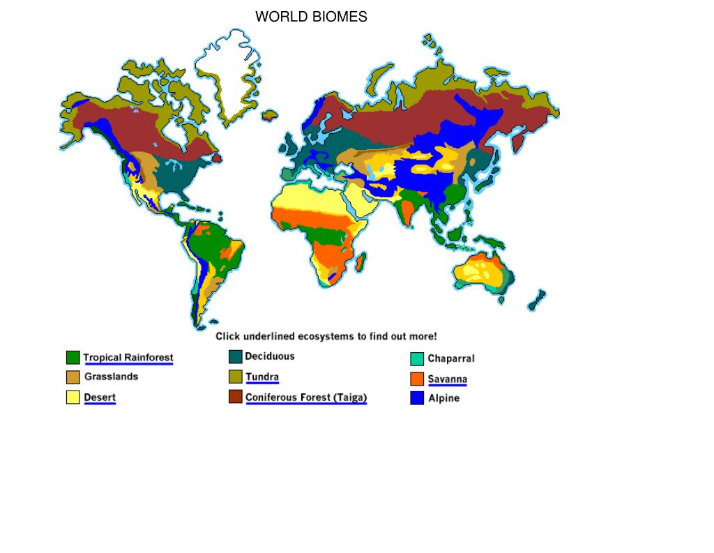 PPT The Earth's BIOMES PowerPoint Presentation, free download ID