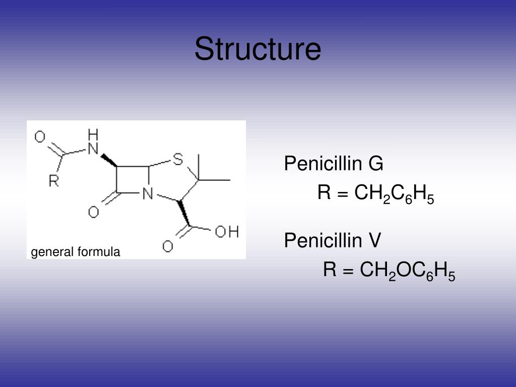 PPT Penicillin PowerPoint Presentation, free download ID5068640
