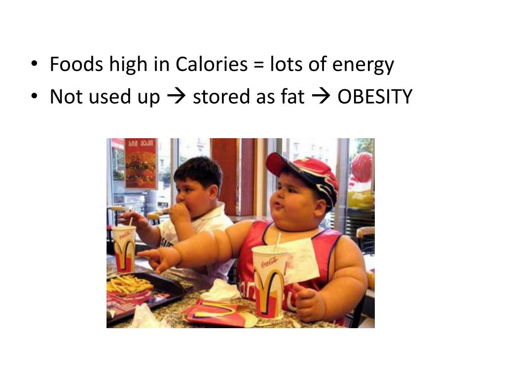 PPT The Energy Equation PowerPoint Presentation, free download ID