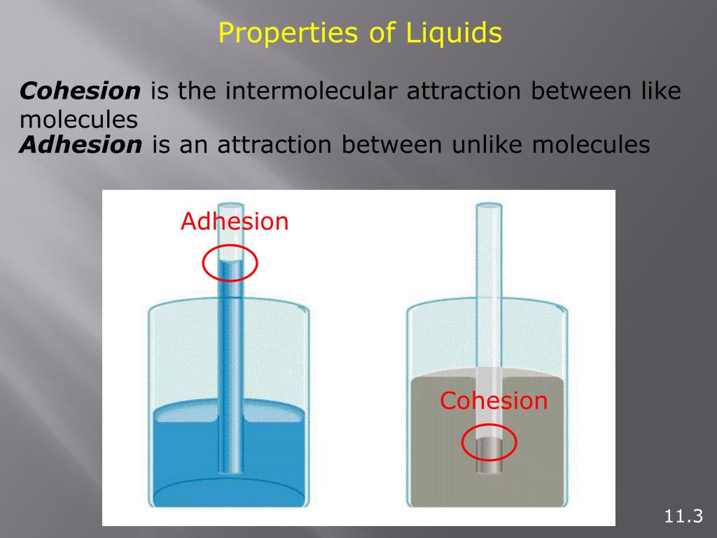 PPT Phases of matter PowerPoint Presentation, free download ID5071064