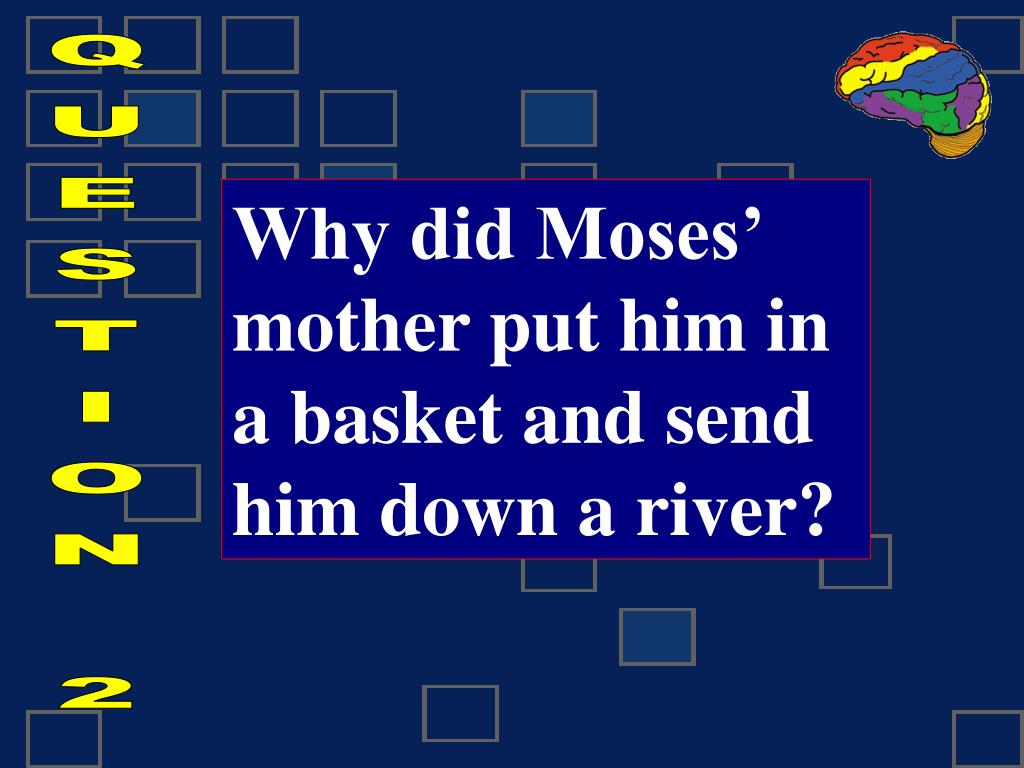 PPT NOGGIN KNOCKER PowerPoint Presentation, free download ID5071992