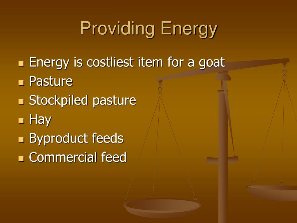 PPT Goat Nutrition From A to Z PowerPoint Presentation, free download