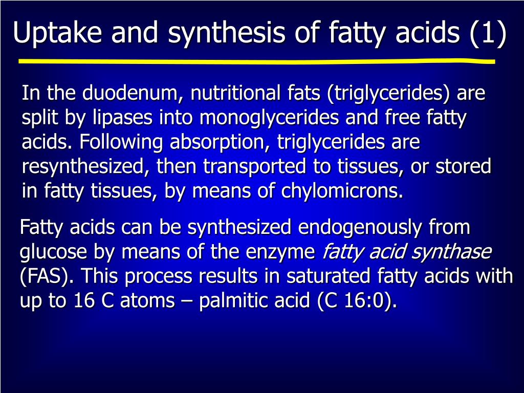PPT Fatty Acid Metabolism PowerPoint Presentation, free download ID