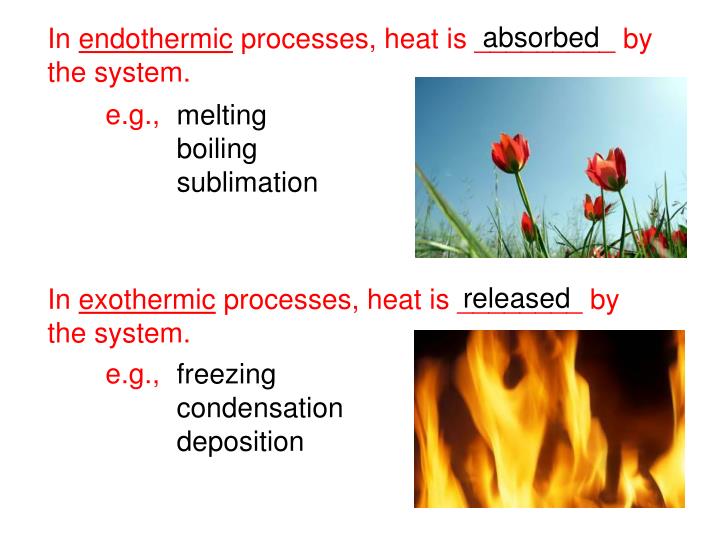 PPT Thermochemistry PowerPoint Presentation ID5077858