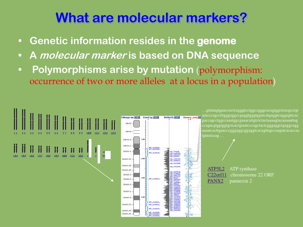 PPT PLANT Biotechnology (Part1) PowerPoint Presentation, free