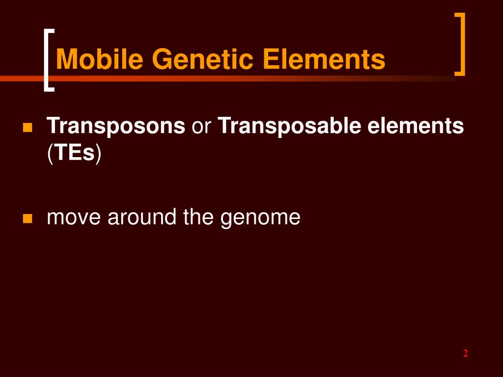 PPT Transposons PowerPoint Presentation, free download ID5081898