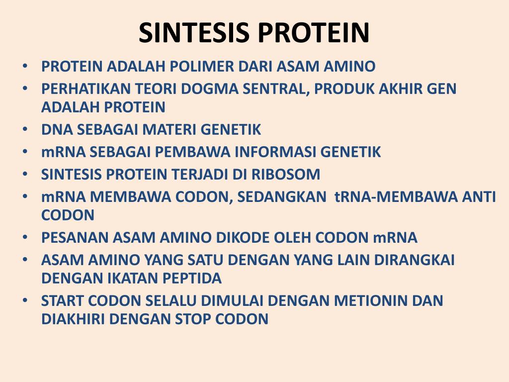 PPT STRUKTUR DAN FUNGSI PROTEIN PowerPoint Presentation, free
