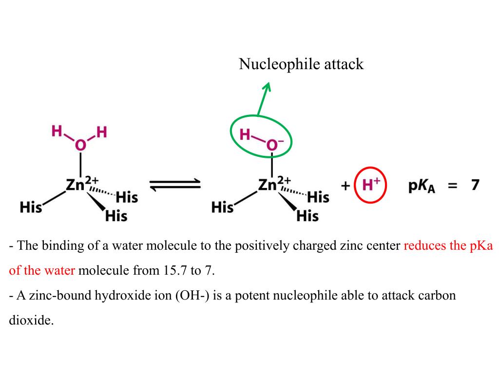 PPT Chapter 9 Catalytic Strategies PowerPoint Presentation, free