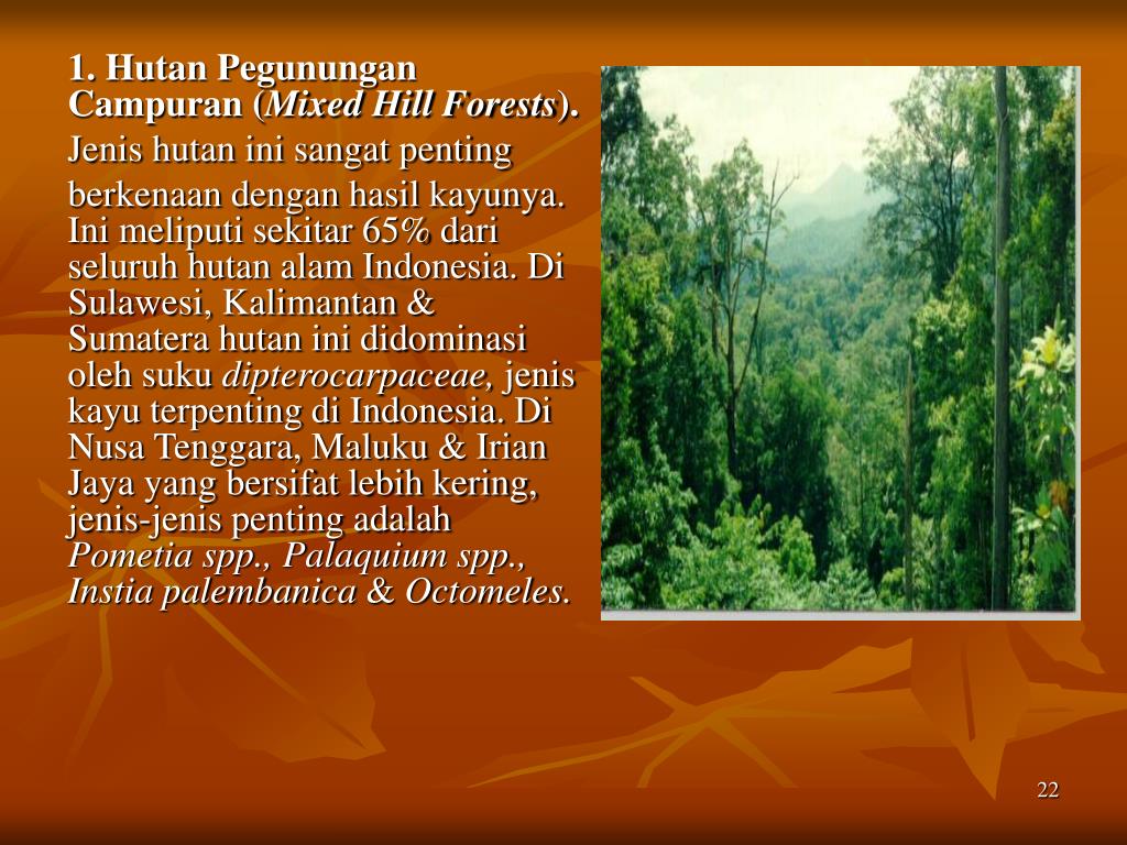 PPT SUMBER DAYA HUTAN PowerPoint Presentation, free download ID5087662(04)