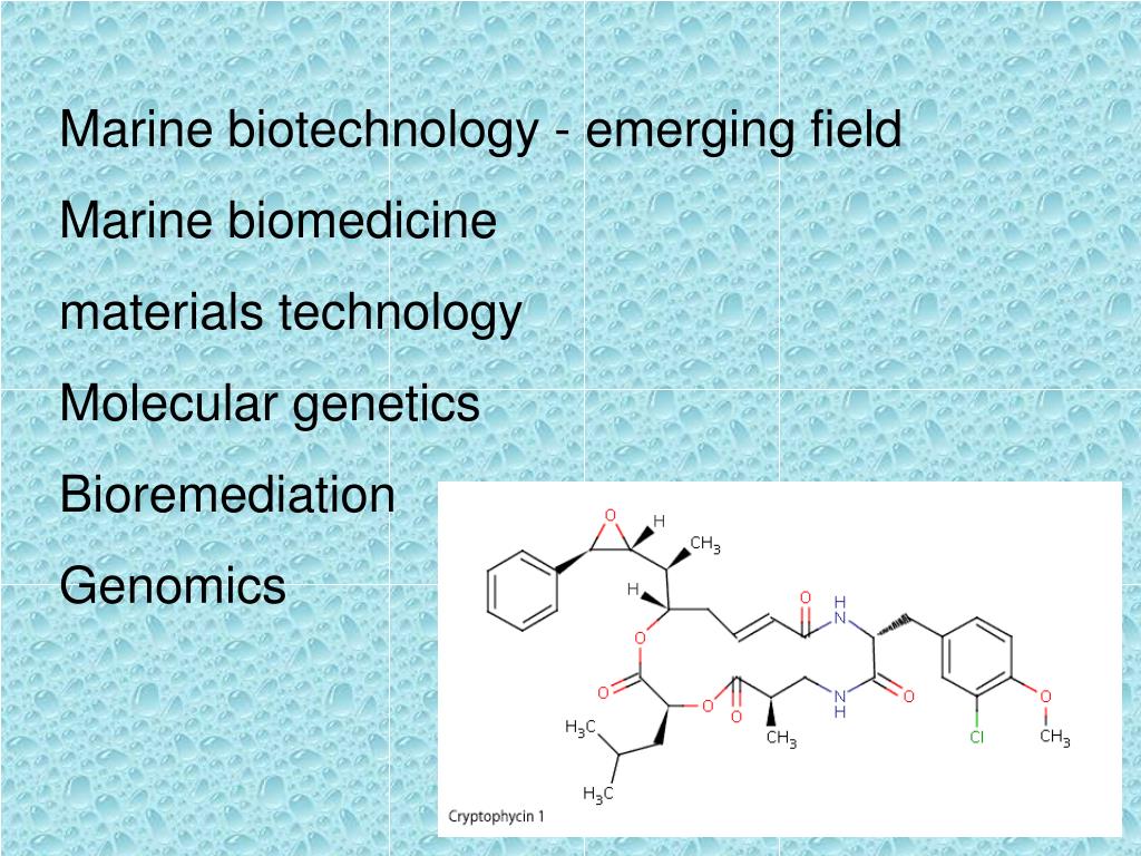 PPT Marine Biotechnology PowerPoint Presentation, free download ID