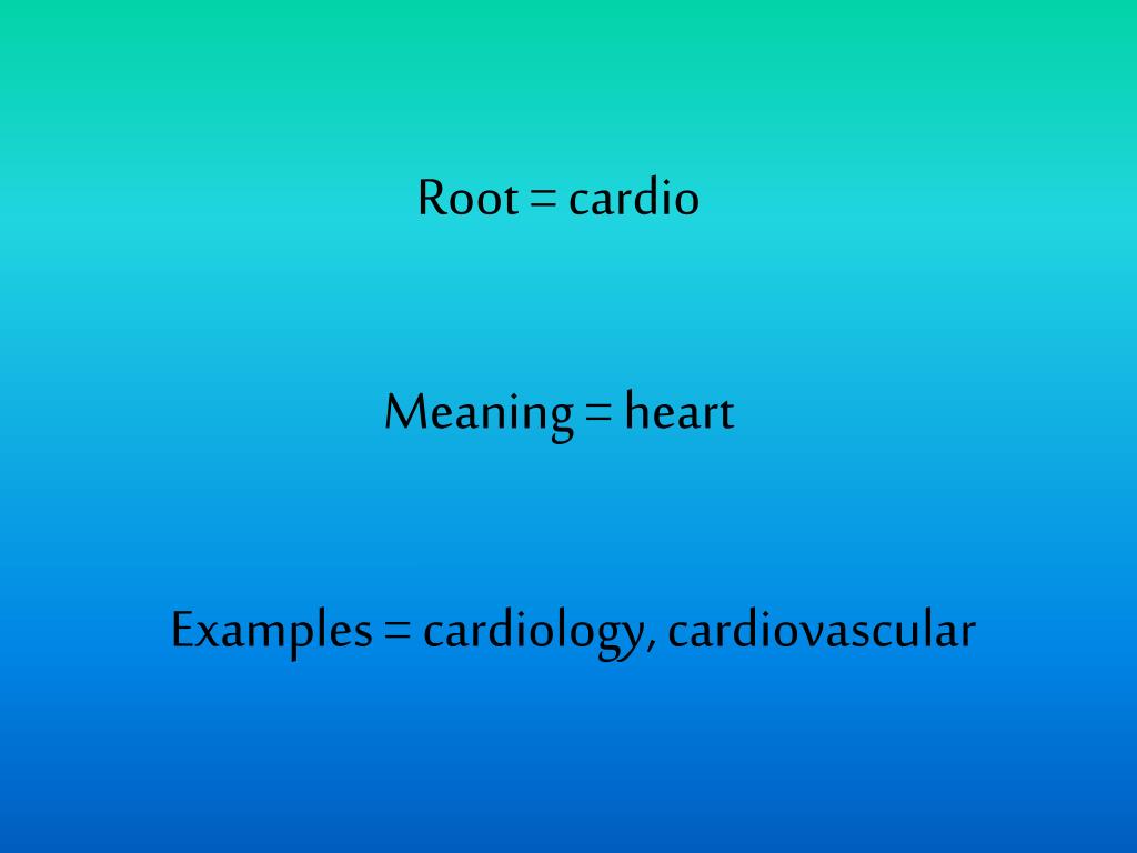 PPT Root = bio, vit PowerPoint Presentation, free download ID5096562