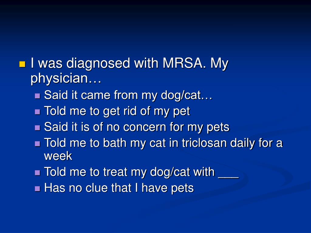 PPT Community associated MRSA in animals PowerPoint Presentation