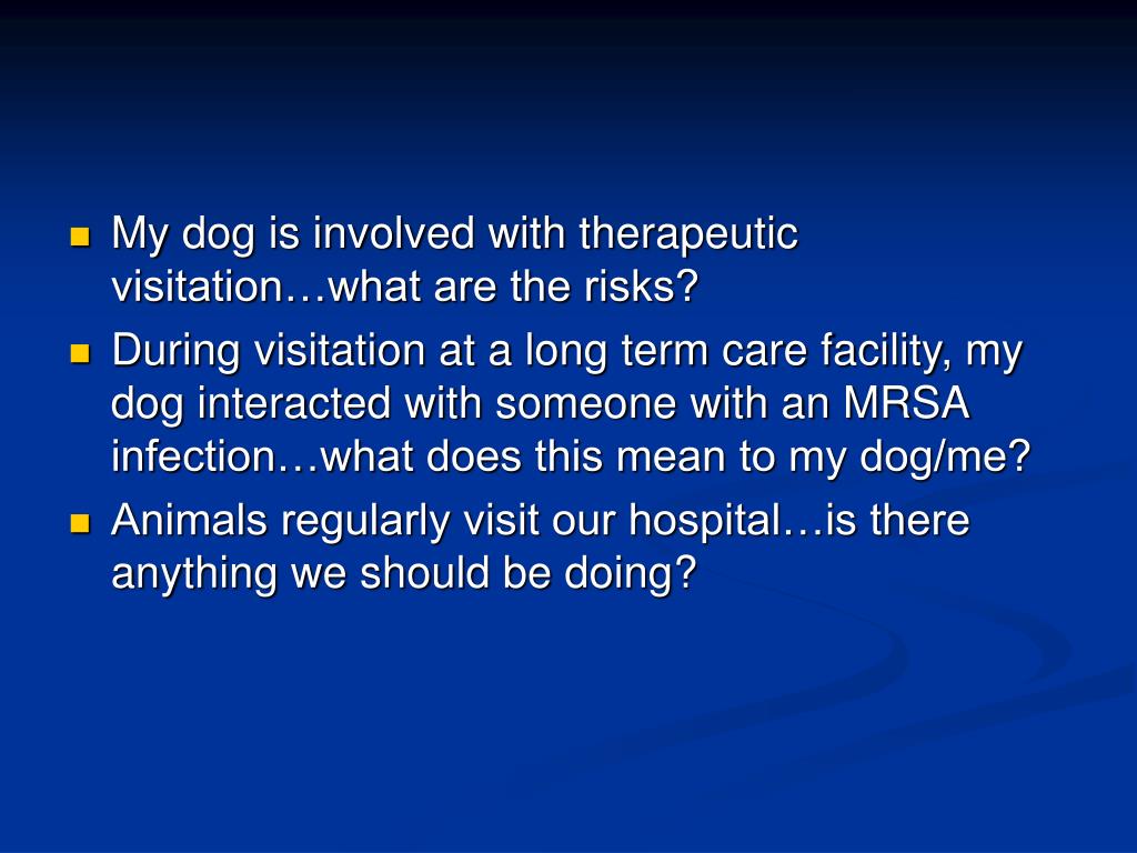 PPT Community associated MRSA in animals PowerPoint Presentation