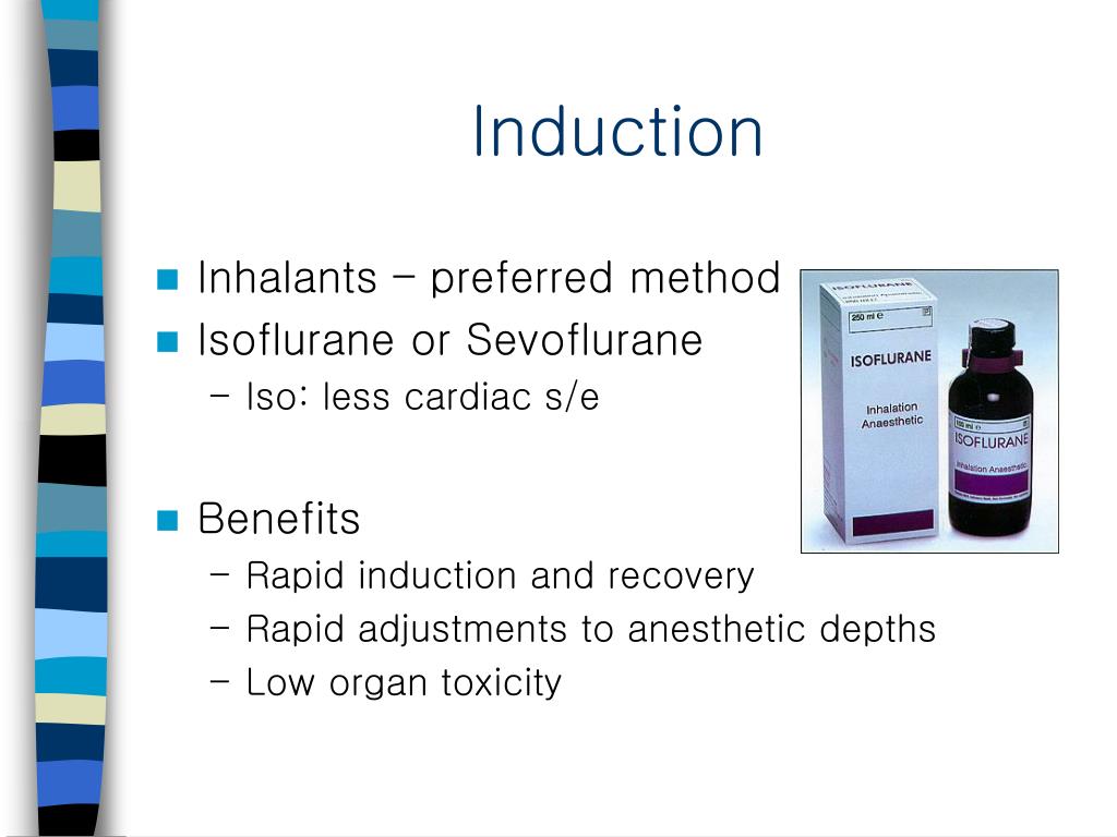 PPT AVIAN ANESTHESIA & SURGERY PowerPoint Presentation, free download