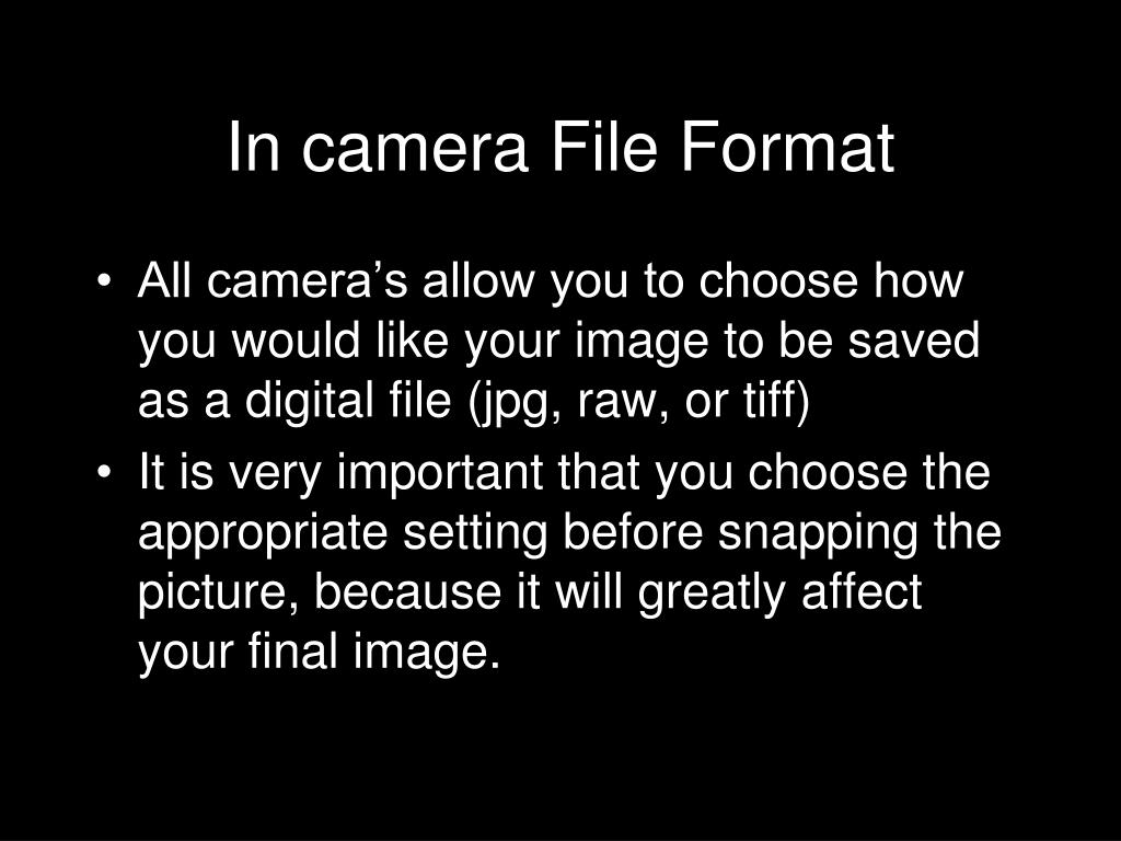 PPT The Importance of File Format and Size PowerPoint Presentation