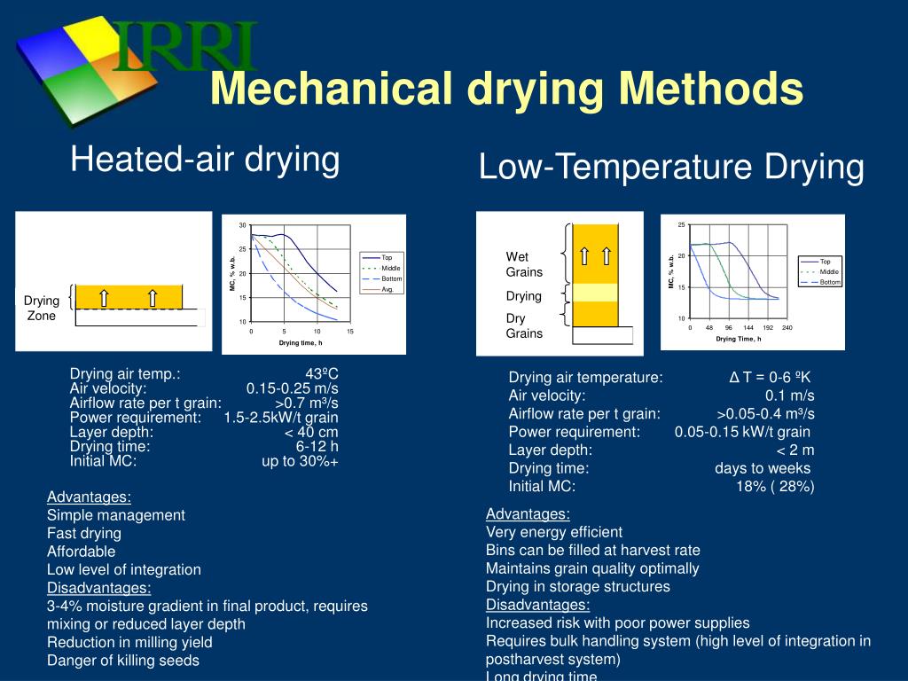 PPT Drying Basics PowerPoint Presentation, free download ID5121093